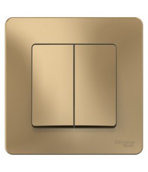 SE Blanca внутр Титан Выключатель 2-клавишный, 10А, 250B