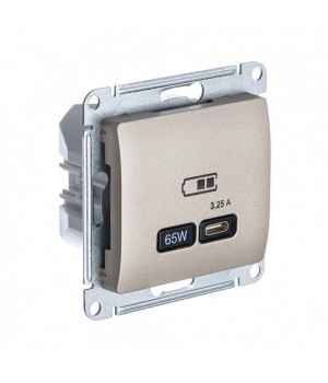 SE Glossa Титан USB Розетка тип-C 65W высокоскор.заряд. QC, PD, мех.