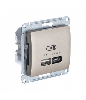 SE Glossa Титан USB Розетка A + тип-C 45W высокоскор.заряд. QC, PD, мех.