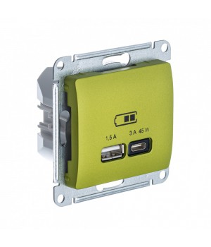 SE Glossa Фисташковый USB Розетка A + тип-C 45W высокоскор.заряд. QC, PD, мех.