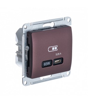 SE Glossa Баклажановый USB Розетка тип-C 65W высокоскор.заряд. QC, PD, мех.