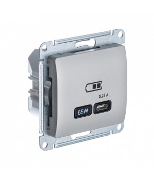 SE Glossa Платина USB Розетка тип-C 65W высокоскор.заряд. QC, PD, мех.